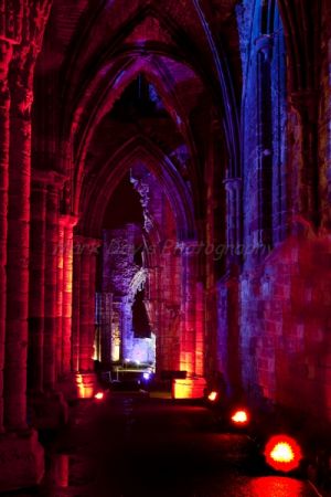 whitby abbey goth festival 8.jpg